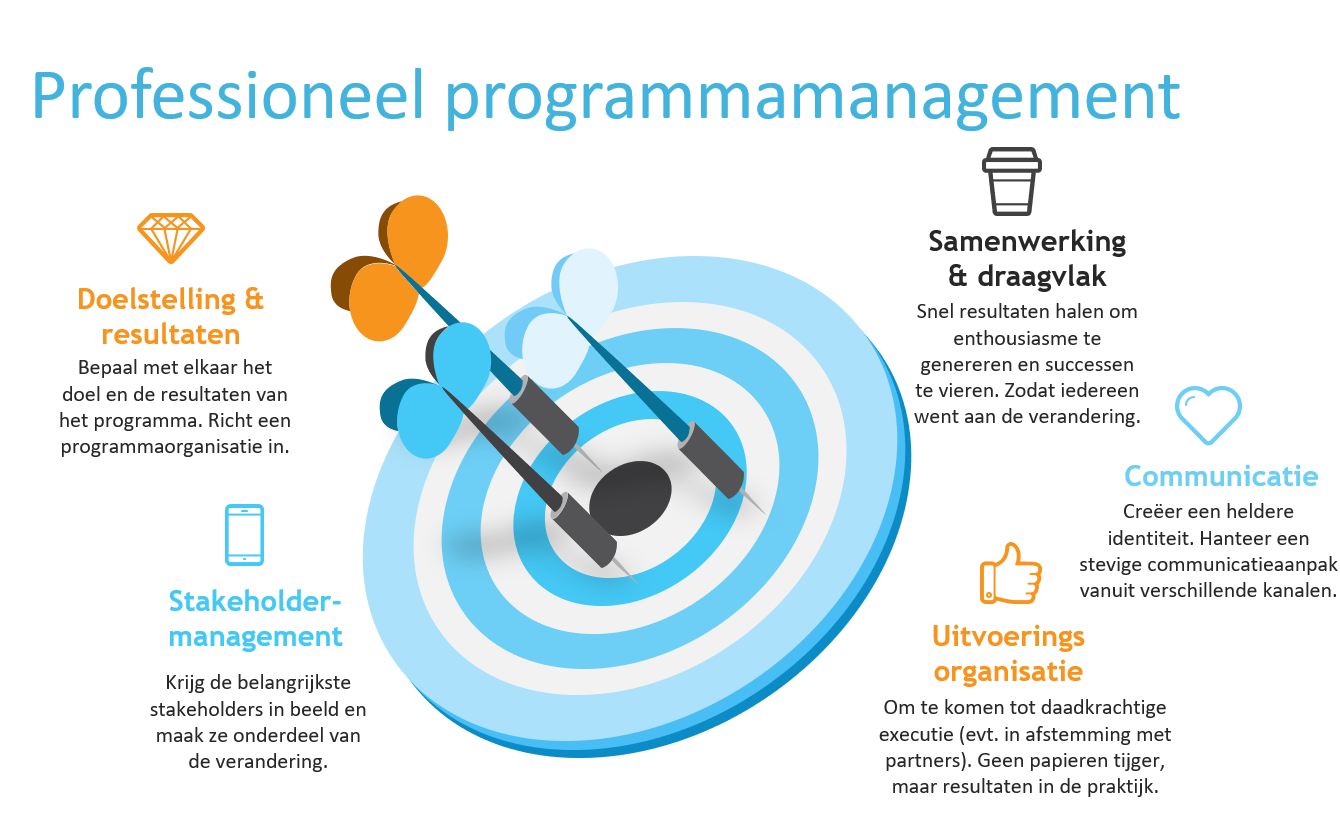 Professioneel programmamanagement