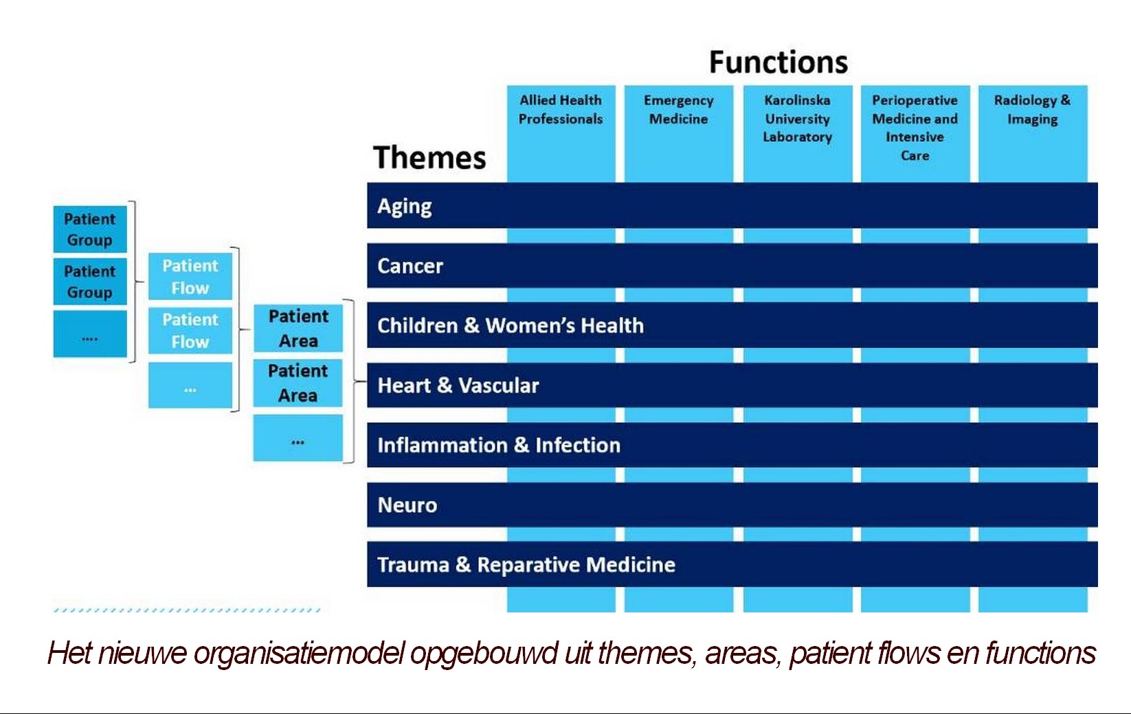 organisatiemodel Karolinska