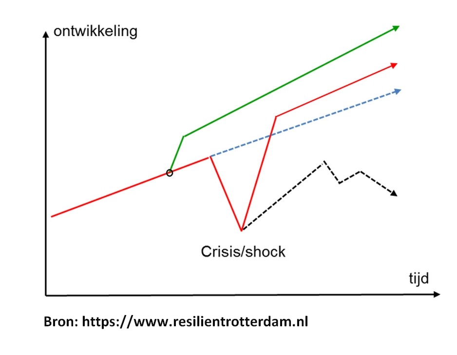 shocks and stresses